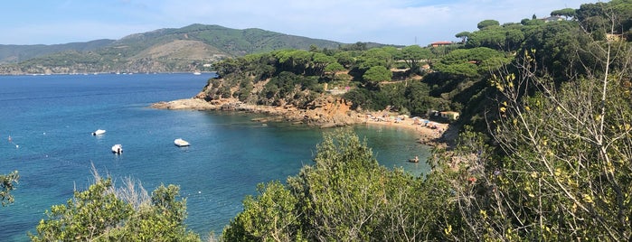 Spiaggia di Zuccale is one of Isola D'Elba.