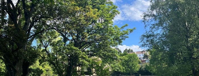 St. Davids Park is one of Hobart.