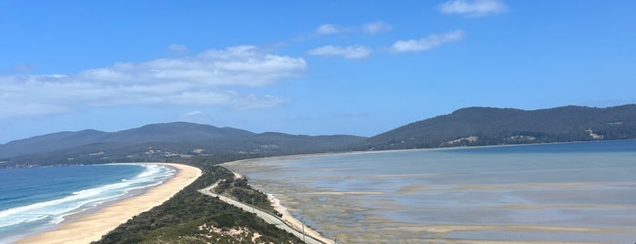 Bruny Island Neck Game Reserve is one of australia.