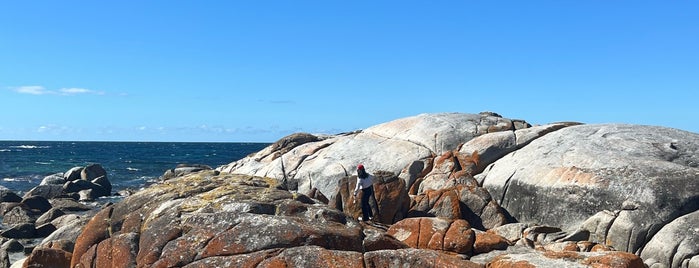 Bay Of Fires is one of AustraliaAttractions.