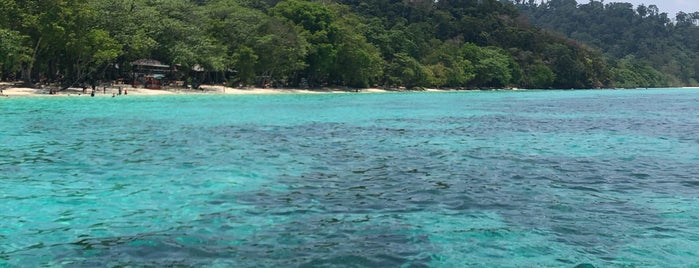 Koh Rok is one of Thailand.