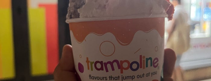 Trampoline Gelato is one of Visited Places.