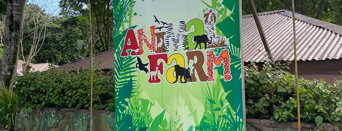 The Animal Farm is one of Tagaytay.