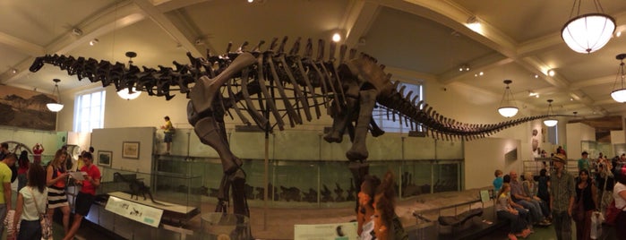 American Museum of Natural History is one of Rodrigo 님이 좋아한 장소.