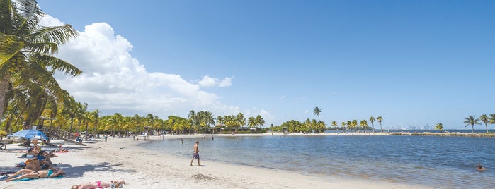Local's Guide to Miami's Beaches