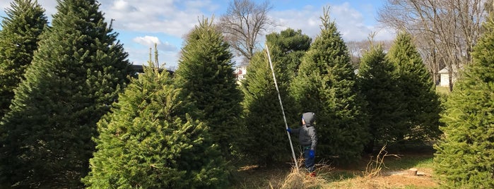 McDermott's Christmas Tree Farm is one of Lieux qui ont plu à Dale.