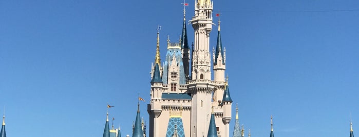 Magic Kingdom Park is one of Dale'nin Beğendiği Mekanlar.