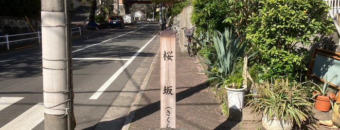 桜坂 is one of 🌸桜が綺麗な坂.