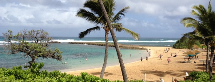 Turtle Bay Resort is one of Hawaii.