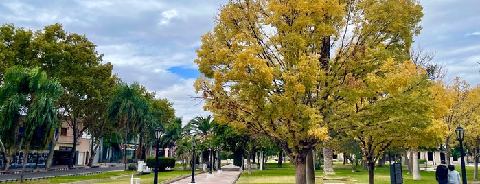 Plaza Pedro del Castillo is one of Mendoza.