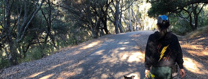 Montclair Railroad Trail is one of Hiking, Nature, Outdoors.