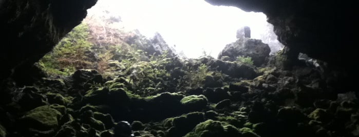 Cuevas Volcánicas is one of สถานที่ที่ Lucia ถูกใจ.
