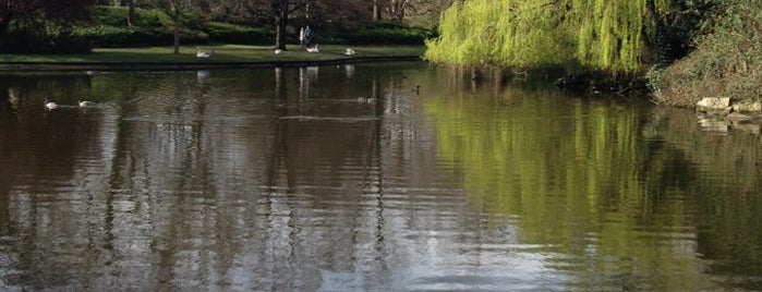 The Great Outdoors in Dublin