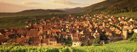 Riquewihr is one of Strasbourg - Alsace - Gourmet = Peter's Fav's.