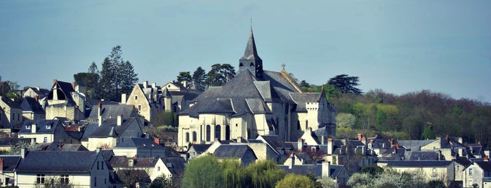 Candes-Saint-Martin is one of Les Plus Beaux Villages de France.