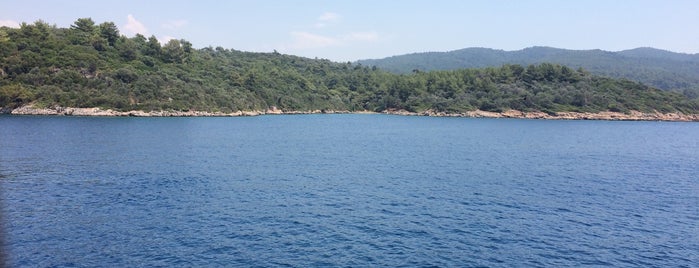 Domuz Çukuru is one of Muğla.