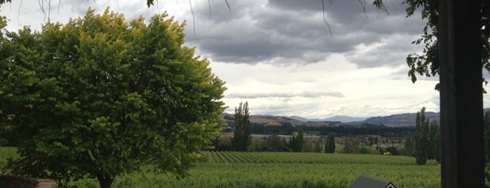 Felton Road Winery is one of Things to do in New Zealand.
