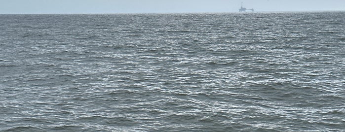 Mobile Bay Ferry - Dauphin Island is one of Local Activities.