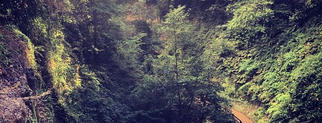 Shanklin Chine is one of สถานที่ที่ Lamia ถูกใจ.