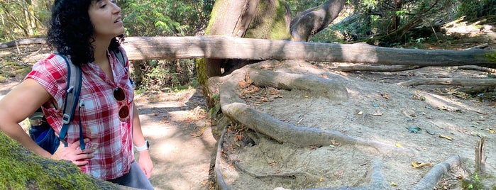 Oaks Bottom Wildlife Refuge is one of Portland Kid Outings.