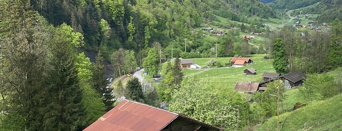 Bahnhof Grindelwald is one of ALPS.