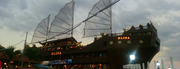 Elisa Floating Restaurant is one of สถานที่ที่ Elena ถูกใจ.