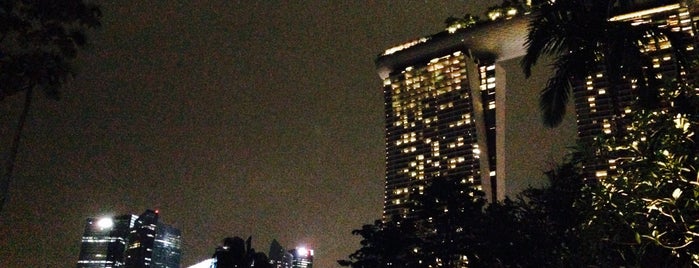 Marina Bay Sands Hotel is one of สถานที่ที่ Elena ถูกใจ.