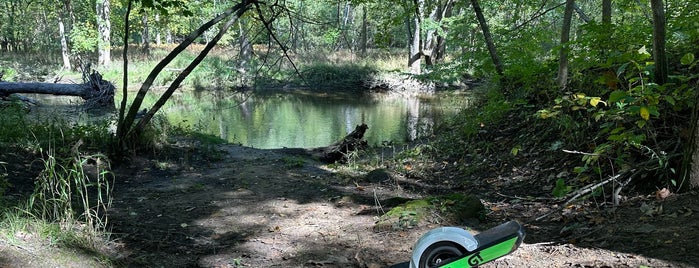 Legg Park is one of Canoe Lansing.