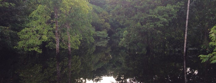 Amazon Ecopark Jungle Lodge is one of Tempat yang Disukai Seyhan.