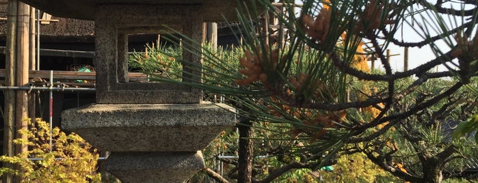 Kiyomizu-dera Temple is one of Kit&kafoodle : понравившиеся места.