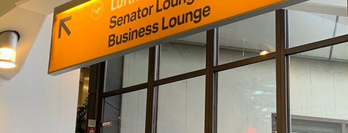 Lufthansa Senator Lounge is one of Airline Lounges.