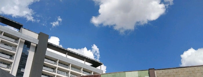 Pão de Açúcar is one of Tempat yang Disukai Lari.