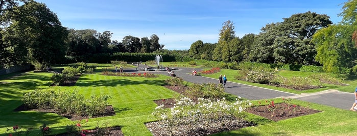 Rose Garden is one of Ireland.