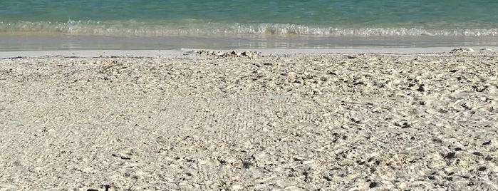Playa Andaz Mayakoba is one of Cancun.