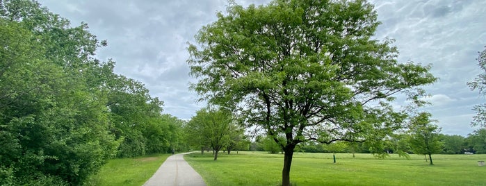 Brookfield Woods is one of Forest Preserves.
