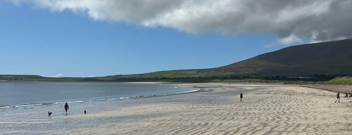 Ventry Beach is one of Beaches.