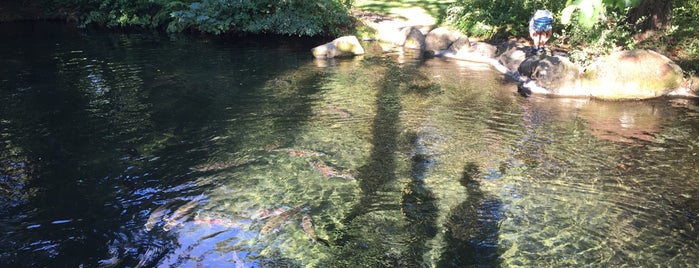 Bonneville Fish Hatchery is one of Portland Nov 2016.