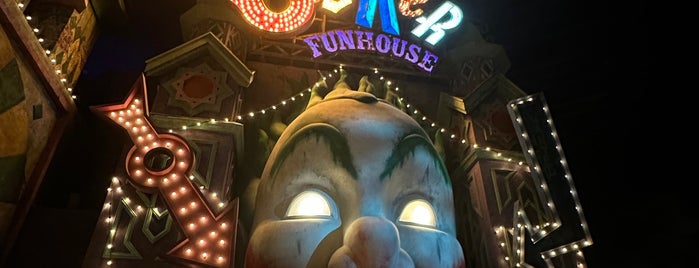 The Joker Funhouse is one of wbworldad.