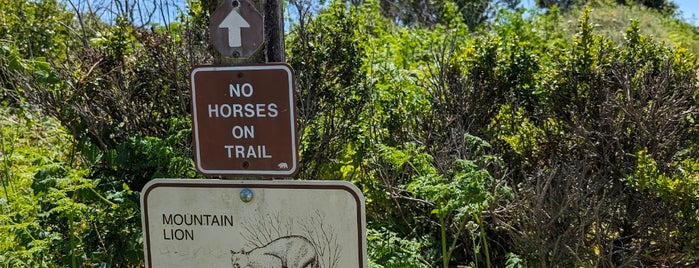 Old Cove Landing Trail is one of Santa Cruz To Try.
