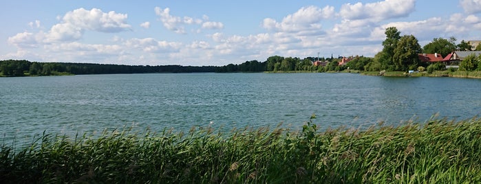 Lukos (Bernardinų) ežeras is one of Vladさんの保存済みスポット.