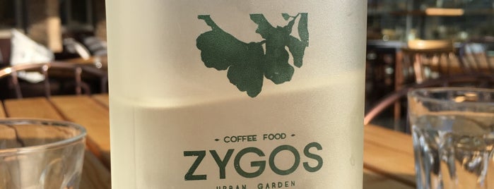 Zygos is one of Tempat yang Disimpan Spiridoula.