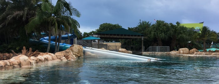 Dolphin Plunge is one of Tempat yang Disukai Michael.