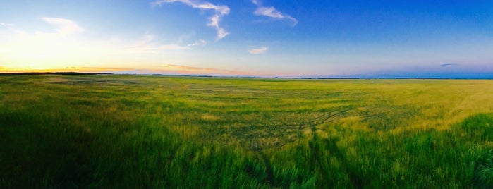 Hortobágyi-Nationalpark is one of UNESCO World Heritage Sites in Eastern Europe.