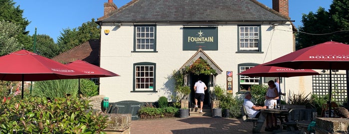 The Fountain Inn is one of The Dog's Bollocks' English Country Pubs.