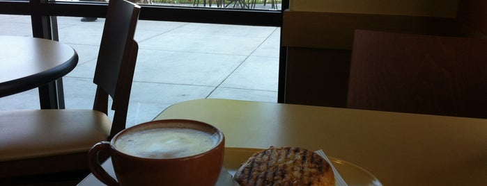 Panera Bread is one of Noms I eat at a lot.