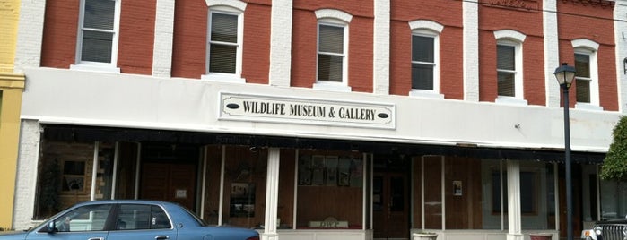 God's Creations wildlife museum and gallery is one of NC's Best-Kept Secrets.