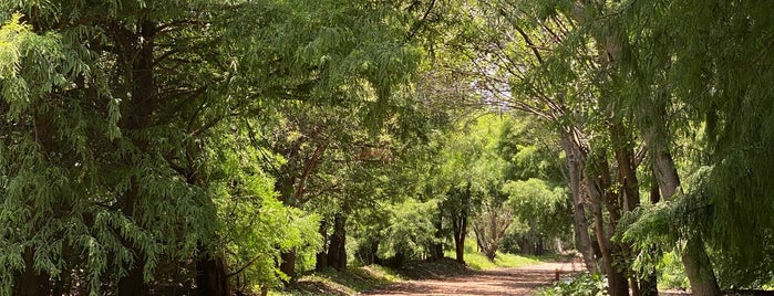 Parque Ecológico Xochimilco is one of Tempat yang Disukai Daniel.