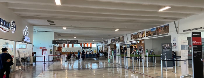Aeropuerto Internacional "Abraham González" (CJS) is one of Locais curtidos por Daniel.