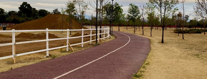 Parque Bicentenario is one of Locais curtidos por Daniel.