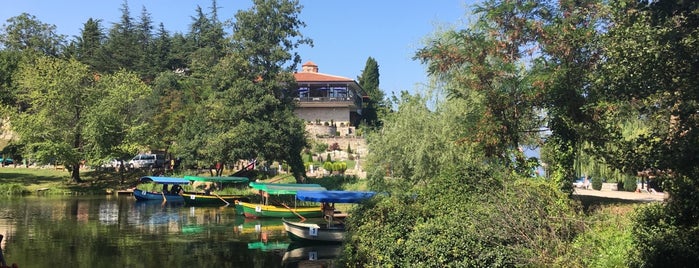 nacionalen park galichica is one of Arnavutluk.